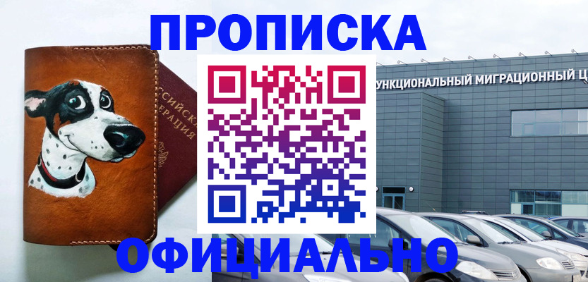 временная прописка в Завитинске